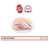 Fresh Old Chicken/ Ayam Tua/ 老鸡(1.6kg+/-) Halal✔️