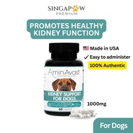 AminAvast Dog Natural Kidney Support 60 Capsules / Dog Supplement / Pet Supplement / Renal Health / 