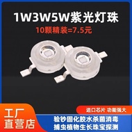 50pcs 1W 3W 5W Purple 365nm 395nm LED Chip - UV Ultraviolet Light for Glue Curing Sterilization and 