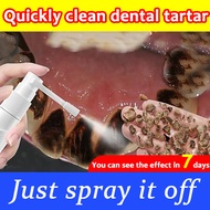 Tartar Remover Spray Dental Calculus Remover whitening remover stain remover teeth whitening