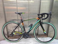 Carrera Er01碳纖維公路車