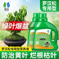 Lvlohan Pine Dedicated Concentrated Nutrient Solution Flower Potted Plant Indoor Landscaping Tree Ta