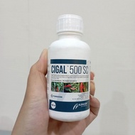CIGAL 500 SC 100ml Fungisida Tebukonazol 125g/l + Klorotalonil 375g/l