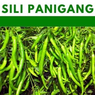 SILI Panigang seeds vegetable repacked seeds gardening