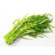 Benih Kangkong/Water Spinach Seed/翁菜(空心菜）种子