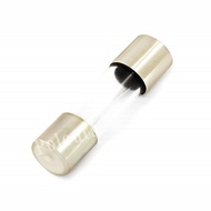 6.3A 6.3Amp 250V 5x20mm 5mmx20mm Fast-Blow Fuse