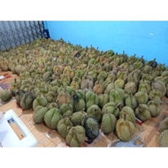 Durian Montong Utuh Bulatan Fresh Premium