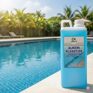 Algaecide 1 liter Anti-Moss Swimming Pool/