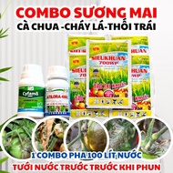 Combo kiểm soát sương mai cà chua – Cyfamo 300SC + Atilora 48EC + SieuKhuan 700WP – Pha 100 lít