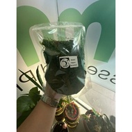 AONORI FLAKES 100GRAMS ONLY FOR TAKOYAKI AND SUSHI TOPPINGS Seaweed Flakes