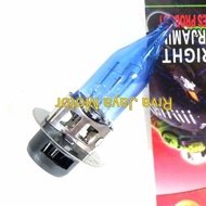 Halogen Bulb biru Grand Lancip WL M5 H6 White Motorcycle Light Bulb