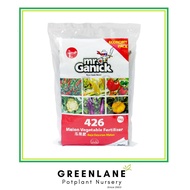 Mr Ganick 426 Organic Melon Vegetable Fertilizer (400G)