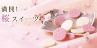 日本ROYCE 北海道 櫻花季限定 櫻花🌸花瓣巧克力片 （40入） 截單:27/2
