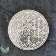1Pc 3.9inch Tree of Life/chakra Etched Selenite Charging Plate Selenite Crystal Charging Plate for H
