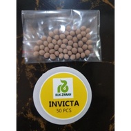 ♞Rjik zwaan lettuce seeds olmetie-rincon-locarno-invicta---------petchay bokchoy seeds