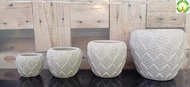 Quality Aesthetic Concrete Leaf Stripes Cement Pot 叶状水泥花盆