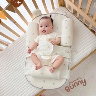 Mingo Bunny premium anti-reflux pillow cushion with blocking pillow and baby carrier,