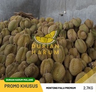 Durian Montong Palu Utuh Bergaransi Manis (2,7kg)
