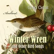 Winter Wren and Other Bird Songs Greg Cetus