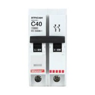 เมนเซอร์กิตเบรกเกอร์ 40 แอมป์ 1 เฟส BTICINO รุ่น BTP2 (266081)