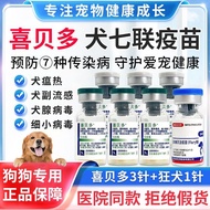 Imported Shibedo Dogs Seven-Link Vaccine Dogs Puppies Adult Dogs Quadruple Pets Small Dogs Plague Do
