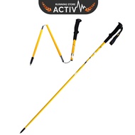 Pioneer Carbon C4 Terrain Running Stick - Orange
