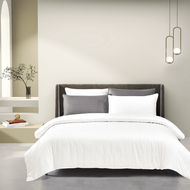 (New Arrival) Epitex 100% Tencel Dobby 1600TC Bedsheet | Fitted Sheet Set | Bedset