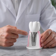 1 Pcs Dental Implant Teaching Demonstration Model Detachable Patient-Physician Communication Implant
