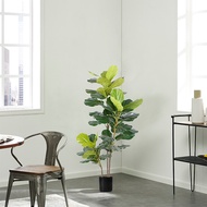 Artificial Plants Fiddle Leaf Fig Fake Tree Home Office Garden Hotel Decor 140CM Real Touch
