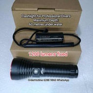 高品質高亮度專業潛水電筒 Premium LED Flashlight for Professional divers