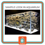 3D BACKGROUND FOR AQUARIUM TANK - BATCH 2 (Available in EIGHT DESIGNS)