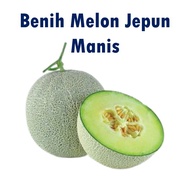 Biji Benih Hybrid Rock Melon / Tembikai Jepun Manis