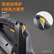 Export Electric Snow Blower Leaf Blower Lithium Battery Rechargeable High Power Industrial Blower Ga