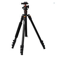 K&F CONCEPT Adjustable Height Camera Tripod Stand Aluminum 4-Section 63.4in/161cm 10KG Payload with 