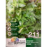 Biji Bernih Sayur/ Vege Seed JT211 Remayong Hijau/Emerald Malabar Spinach Green/ 青帝王苗 (50 seeds)