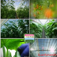 Ecological Agricultural Modern Greenhouse Greenhouse Organic Cultivation Agricultural Products Veget