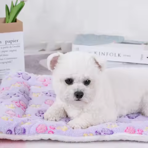 Cats Bed Pet Products Beds & Furnitures House Bed & Furniture Basket Warm Accessories Sofa Cushions 
