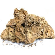 Maple Stone 14 - 28cm (Aquarium / Aquascape) 2kg