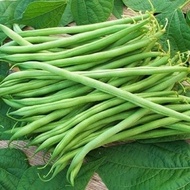 🌱🌱Edamame, winged beans, peas, snow peas, cowpeas, leopard beans, green beans without racks, green b