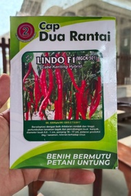 Benih Biji Cabe Keriting LINDO F1 Cabe Besar Berbobot Tahan Penyakit 2000-2500 biji