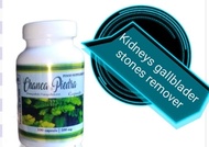 chanca piedra gallbladder/kidneys stone breaker herbs.