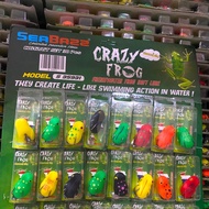 Seabazz crazy frog 24pcs/board