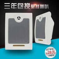 Wall-Mounted Speaker Wall-Mounted Speaker Wall Audio Campus Engineering Classroom Speaker Radio Spea