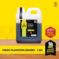 Sarang Maduku - Madu Klanceng Leavyceps Klanceng Mauni Klanceng Biroi Klanceng Bambu Klanceng Itama