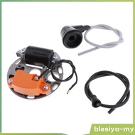 [BlesiyaMY] Replacement Ignition Coil for  070 090 Chainsaw Garden Mower Accessory