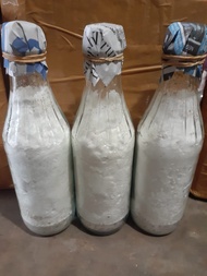 Bibit jamur tiram putih f2