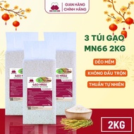 Combo of 3 Bags of Organic Clean Rice MN66 Medium Sticky Rice, Soft Rice - Diet, Digestive Support