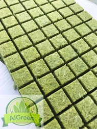 Rockwool Cube 98 PC for Hydroponic Aquaponic Seed Germination Rock Wool Semai Benih Hidroponik Akuap