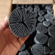 Grill Charcoal Qinggang Binchotan Korean Style Charcoal Wood Charcoal Oak Charcoal BBQ Charcoal Whit