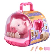 Electric Plush Capybara Toy Interactive Simulation Sound Walking Animal Toy Toddlers Boys Girls Educ